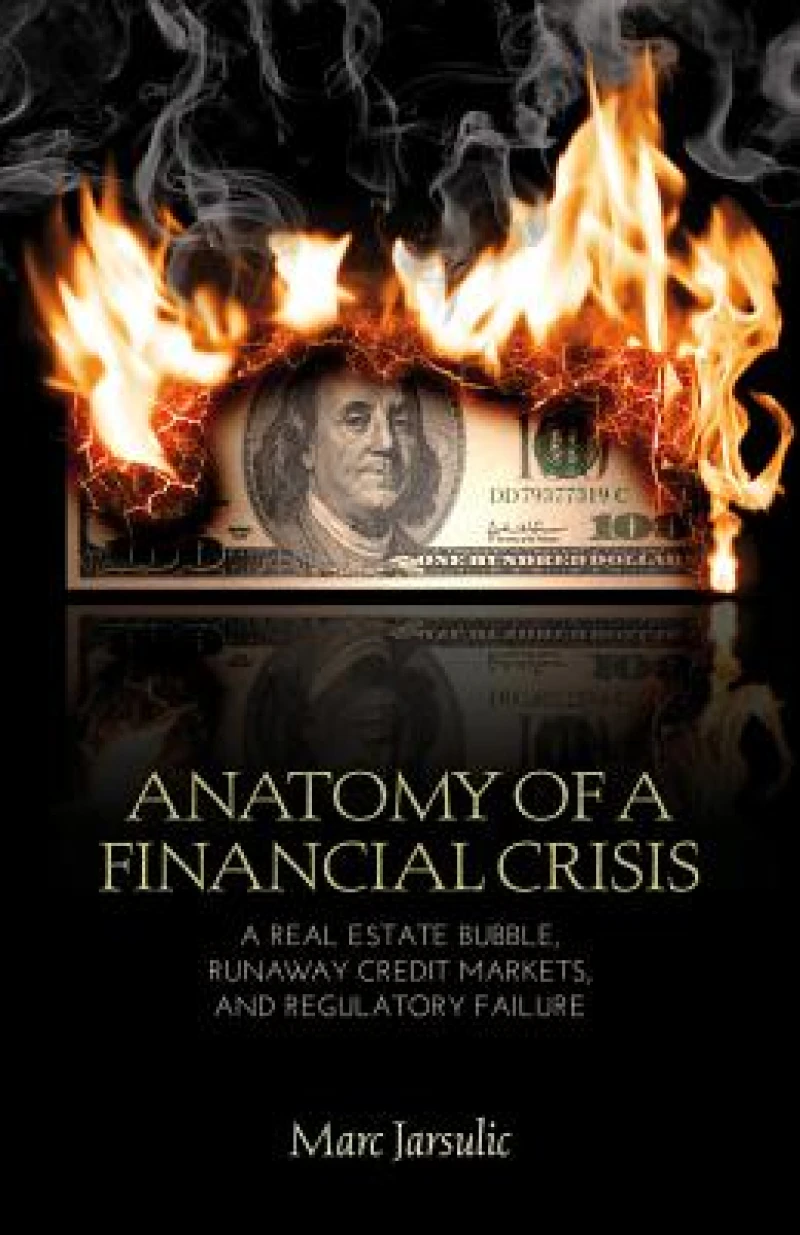 Anatomy of a Financial Crisis