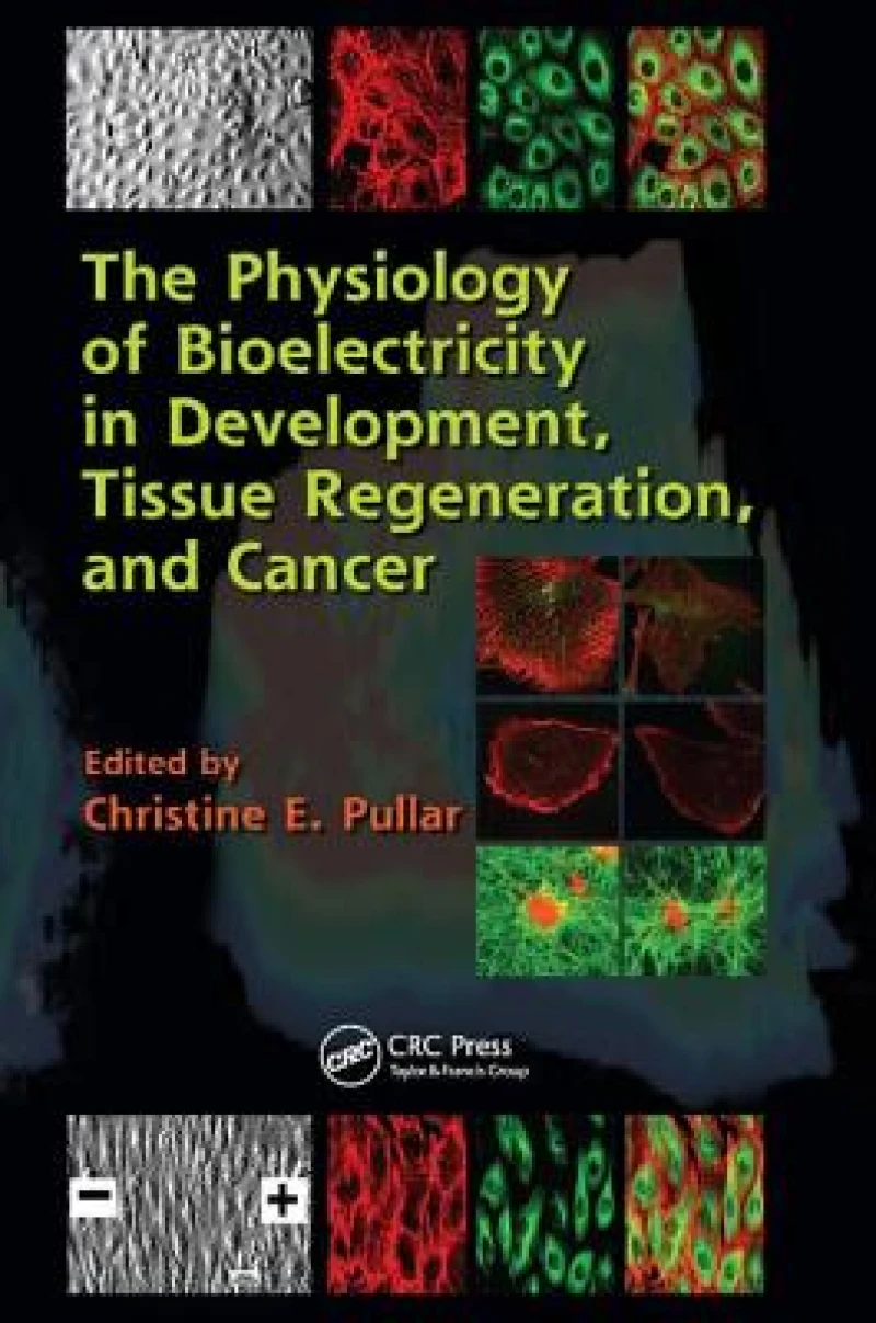 The Physiology of Bioelectricity in Development, Tissue Regeneration and Cancer