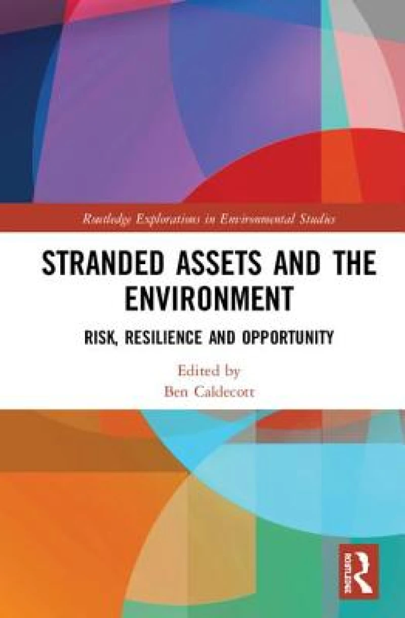 Stranded Assets and the Environment