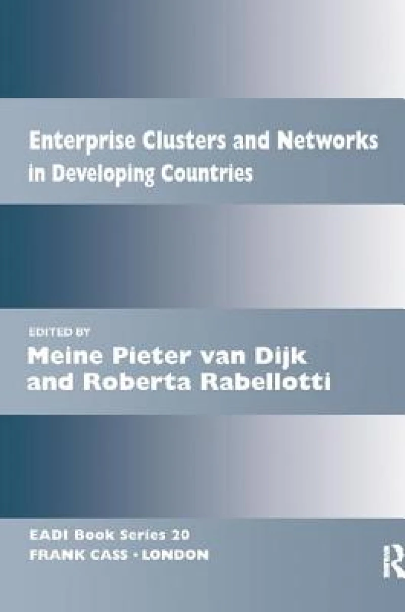 Enterprise Clusters and Networks in Developing Countries