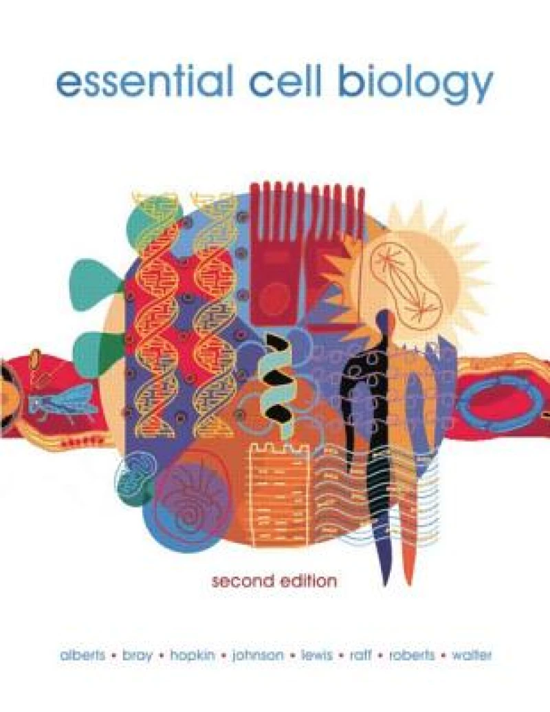 The Risks of Medical Innovation