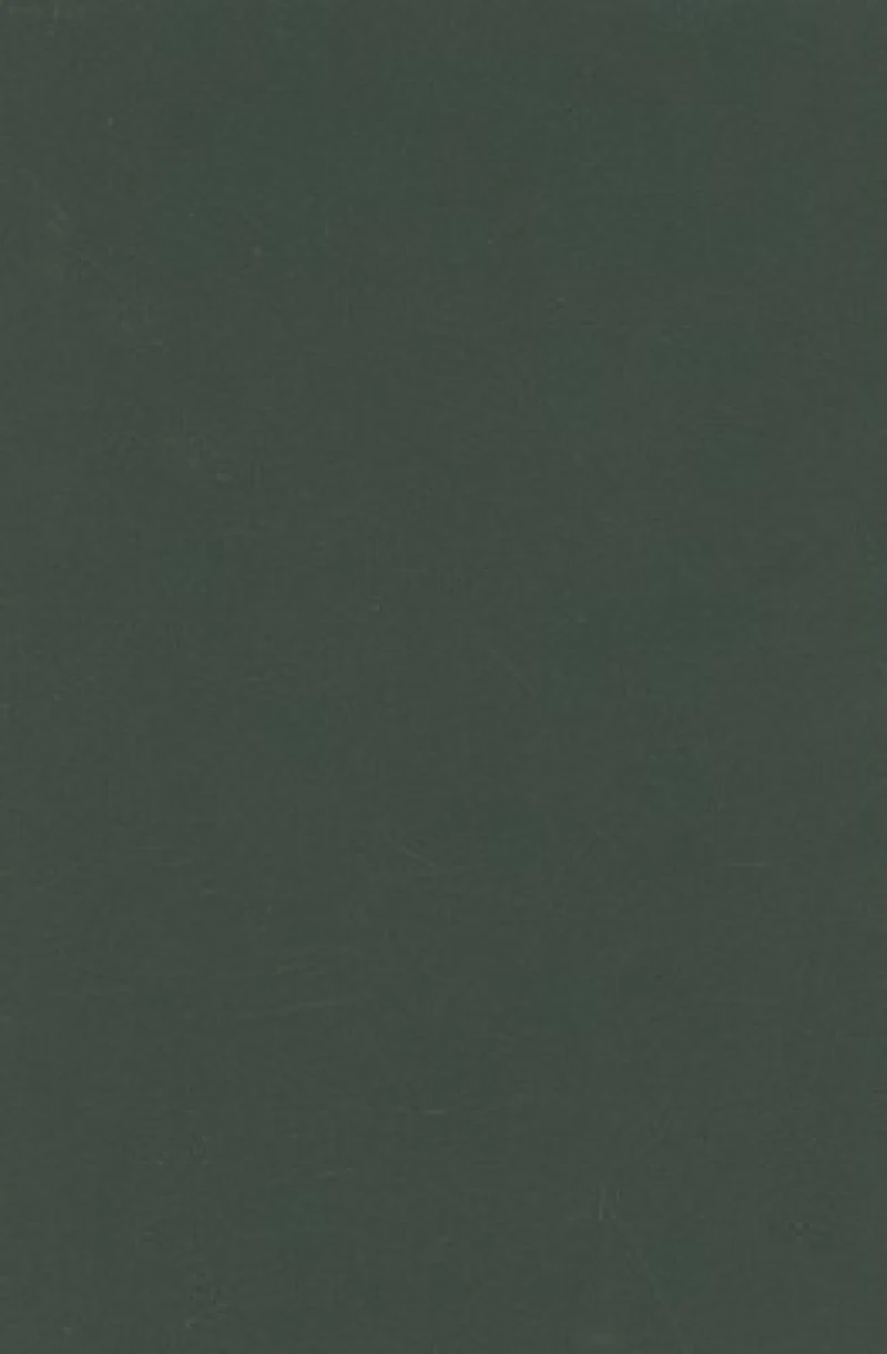 Rethinking Ethnicity