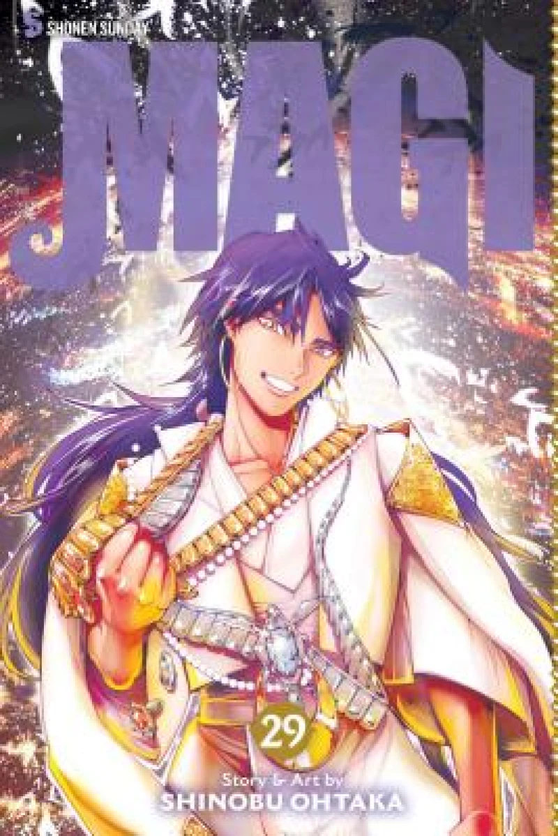 Magi: The Labyrinth of Magic, Vol. 29