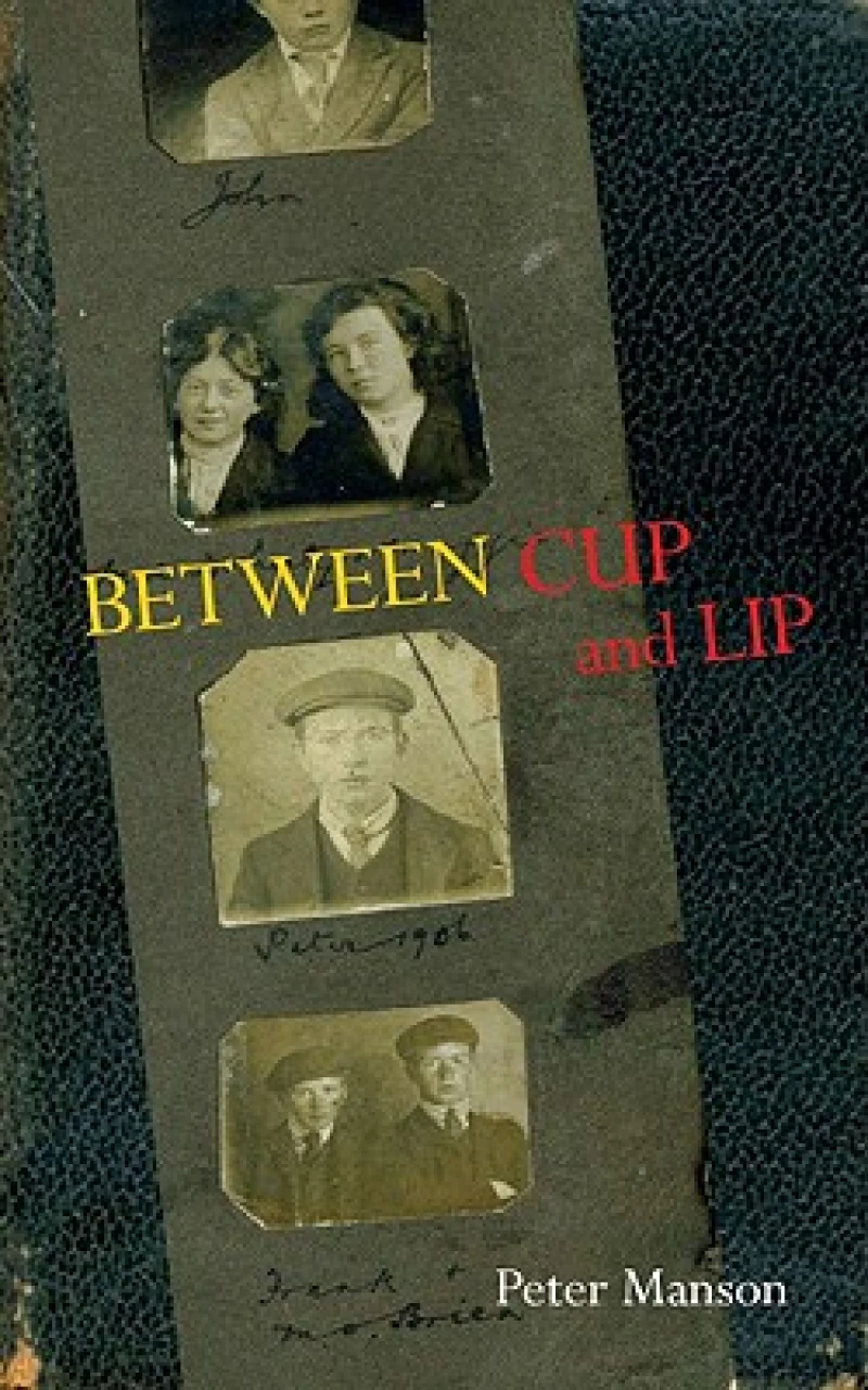 Between Cup and Lip (Miami University Press Poetry Series)