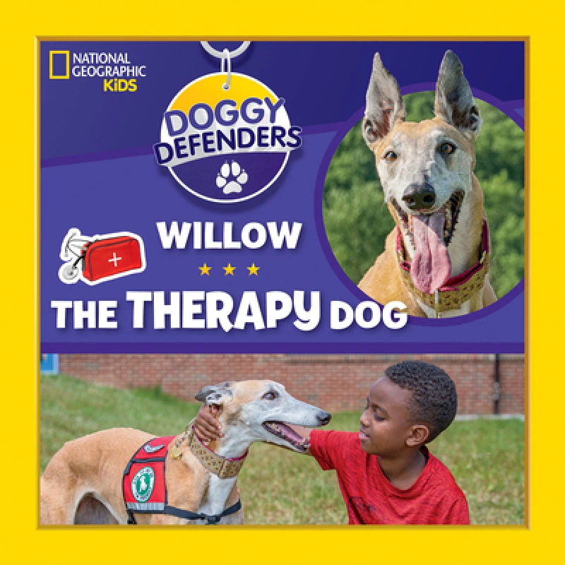 Willow the Therapy Dog