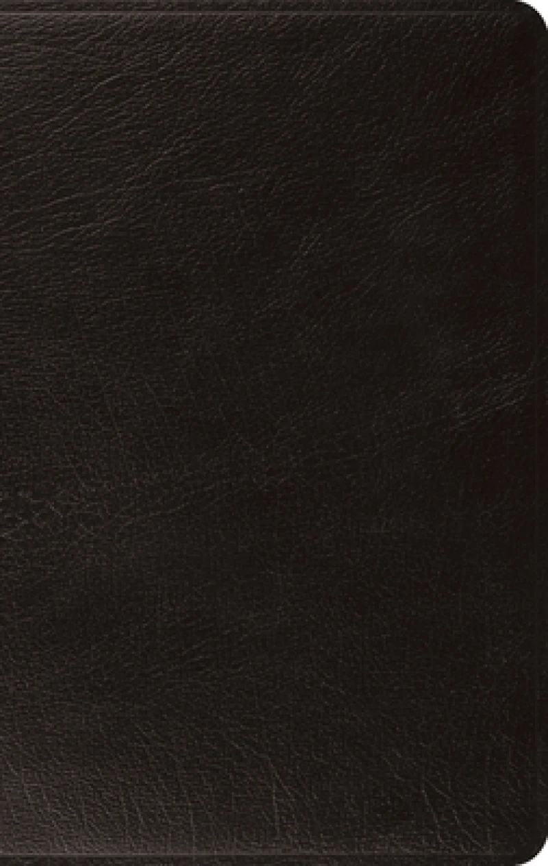 ESV Large Print Thinline Bible