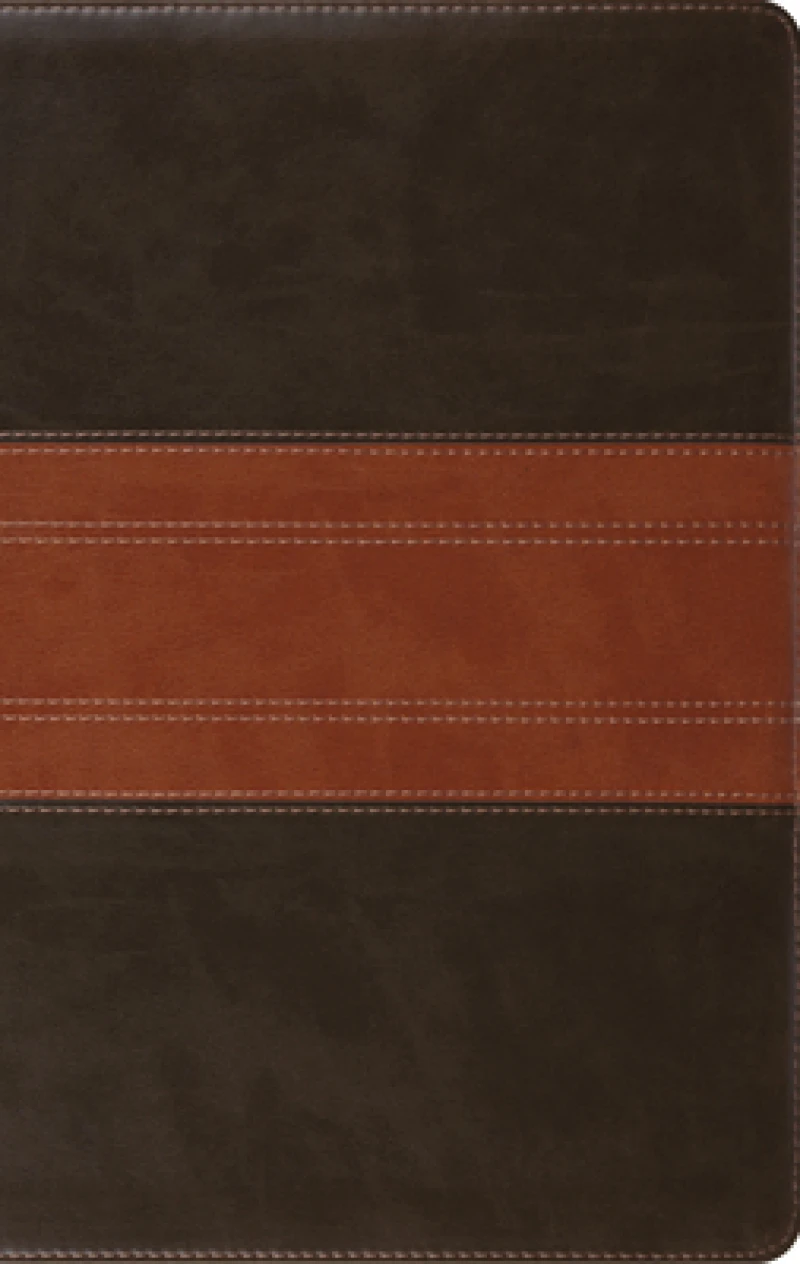 ESV Large Print Personal Size Bible, Red Letter