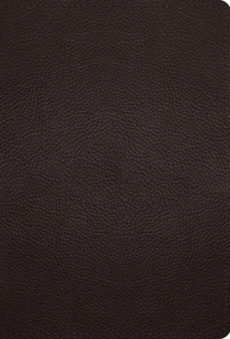 ESV Large Print Compact Bible, Red Letter