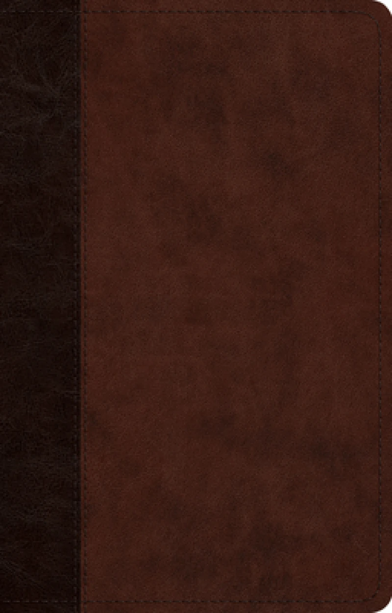 ESV Large Print Thinline Reference Bible