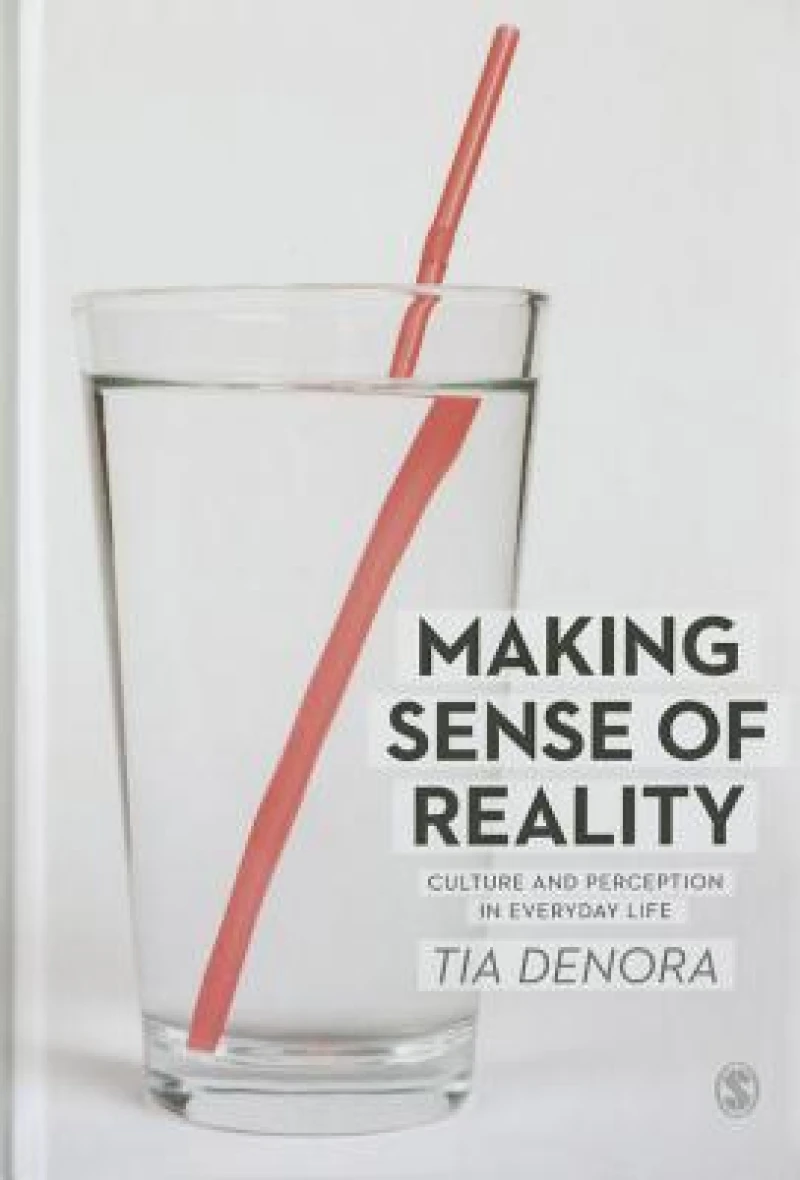 Making Sense of Reality