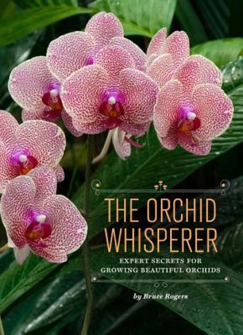 Orchid Whisperer
