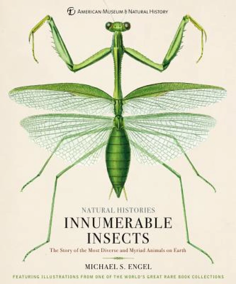 Innumerable Insects