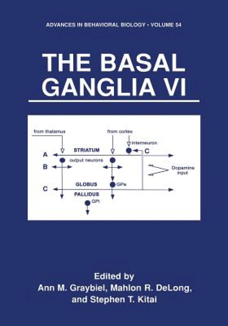 The Basal Ganglia VI
