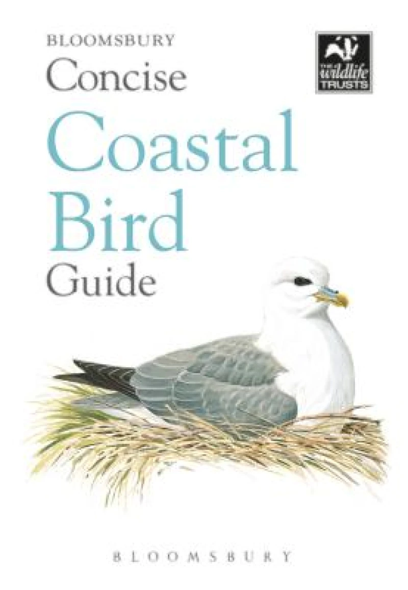 Concise Coastal Bird Guide