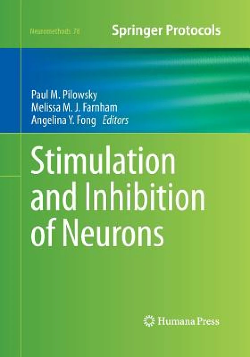 Stimulation and Inhibition of Neurons