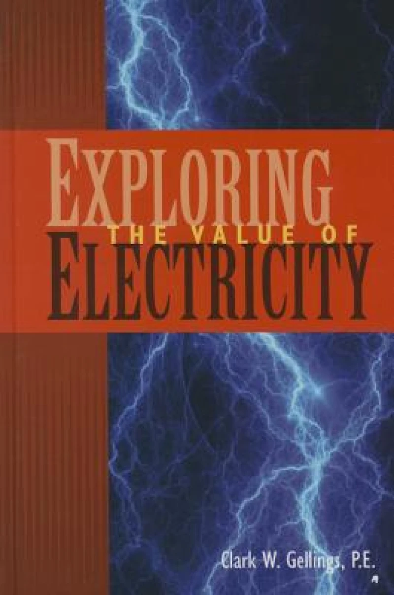 Exploring the Value of Electricity