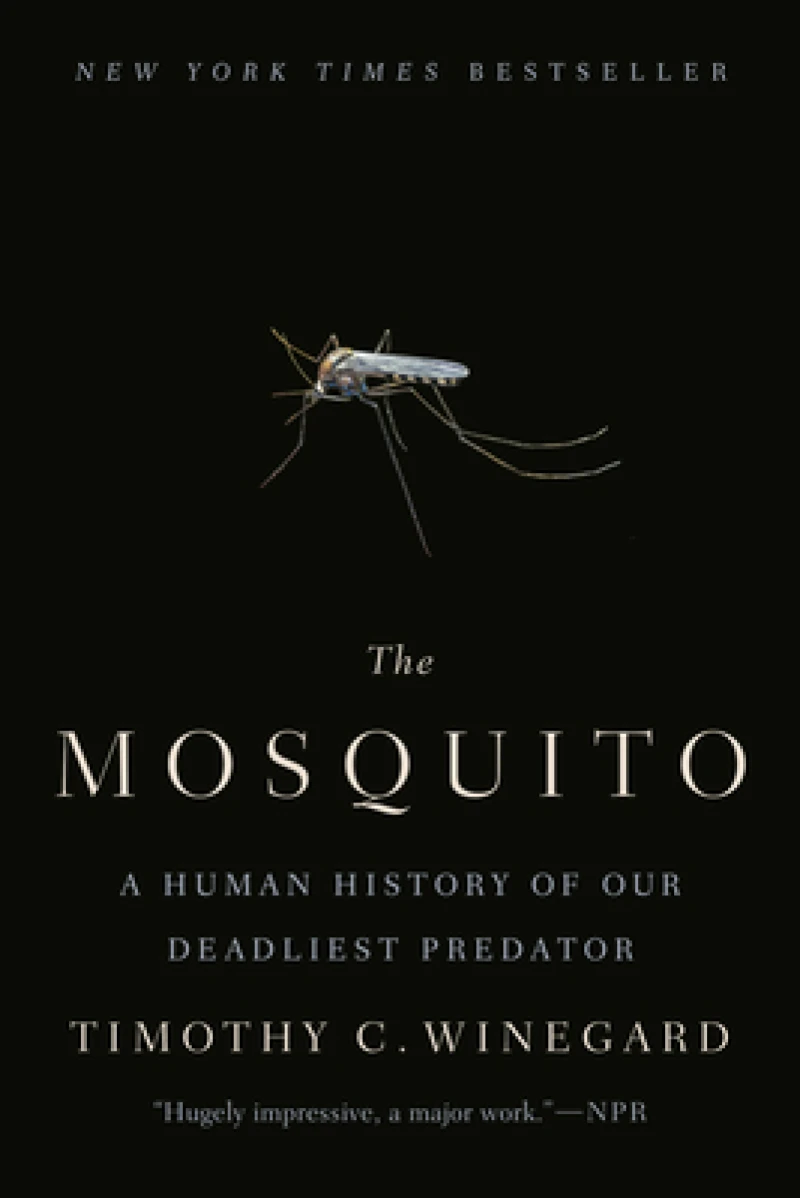 Mosquito