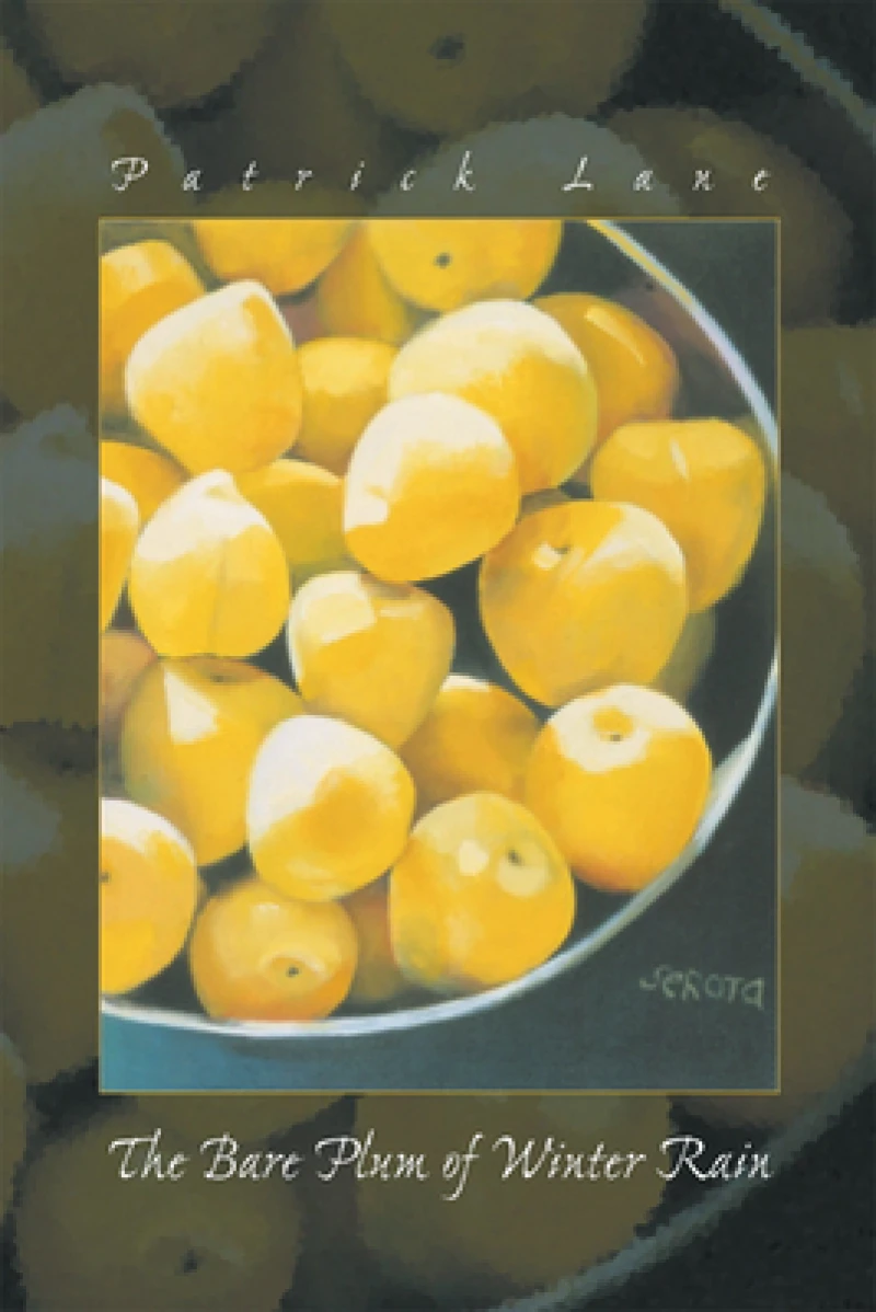 The Bare Plum of Winter Rain