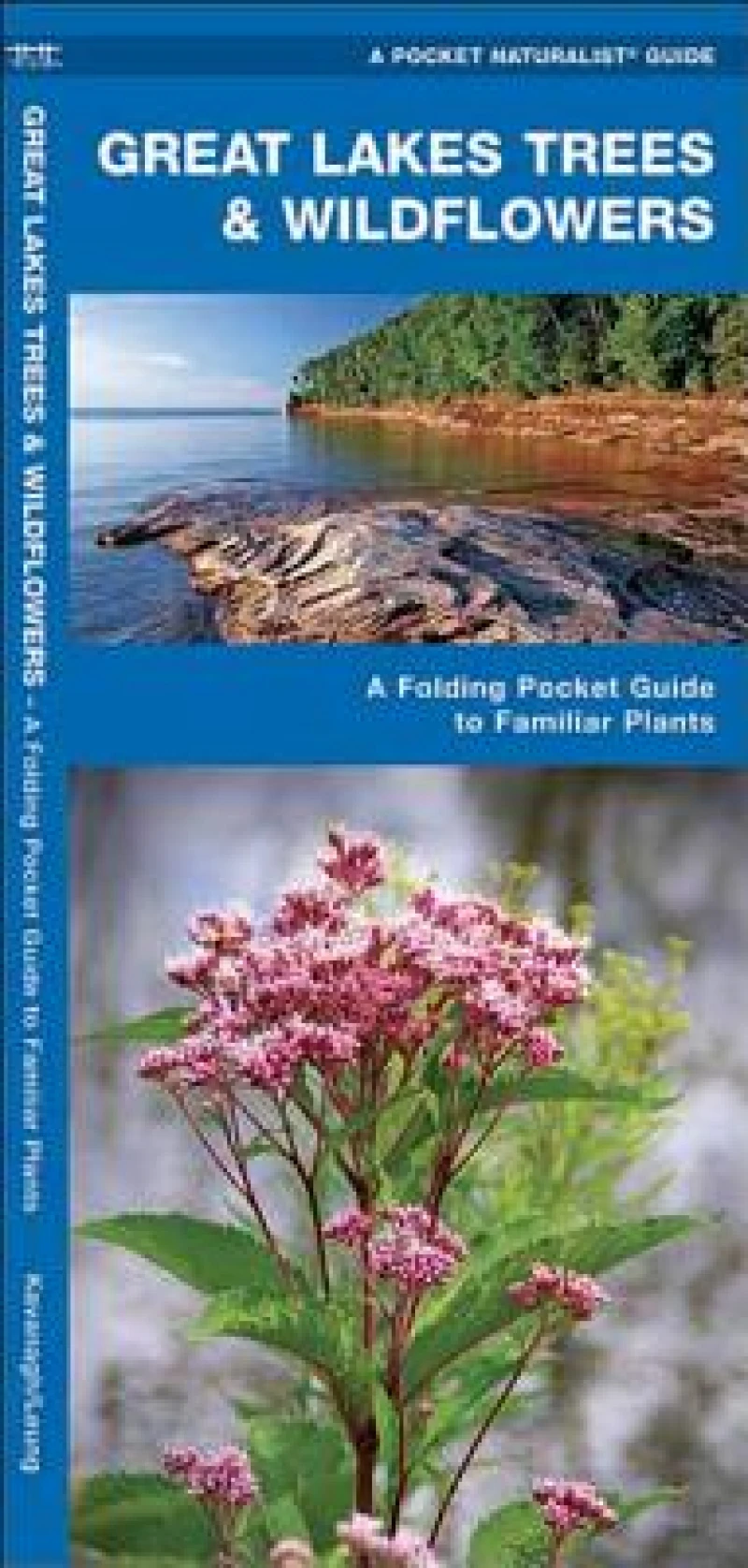 Great Lakes Trees & Wildflowers