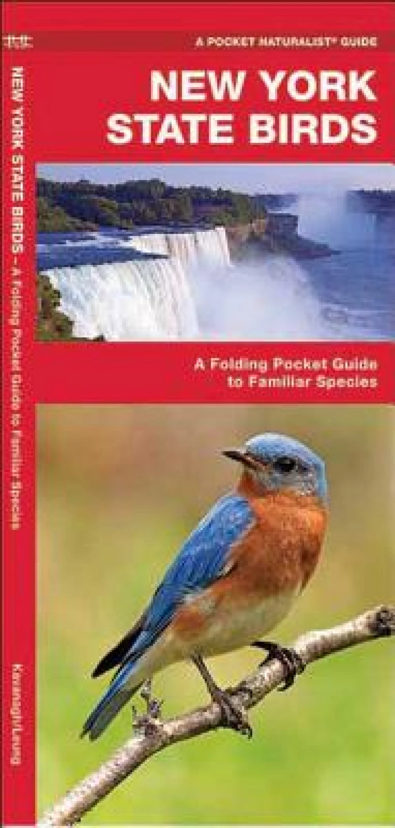 New York State Birds