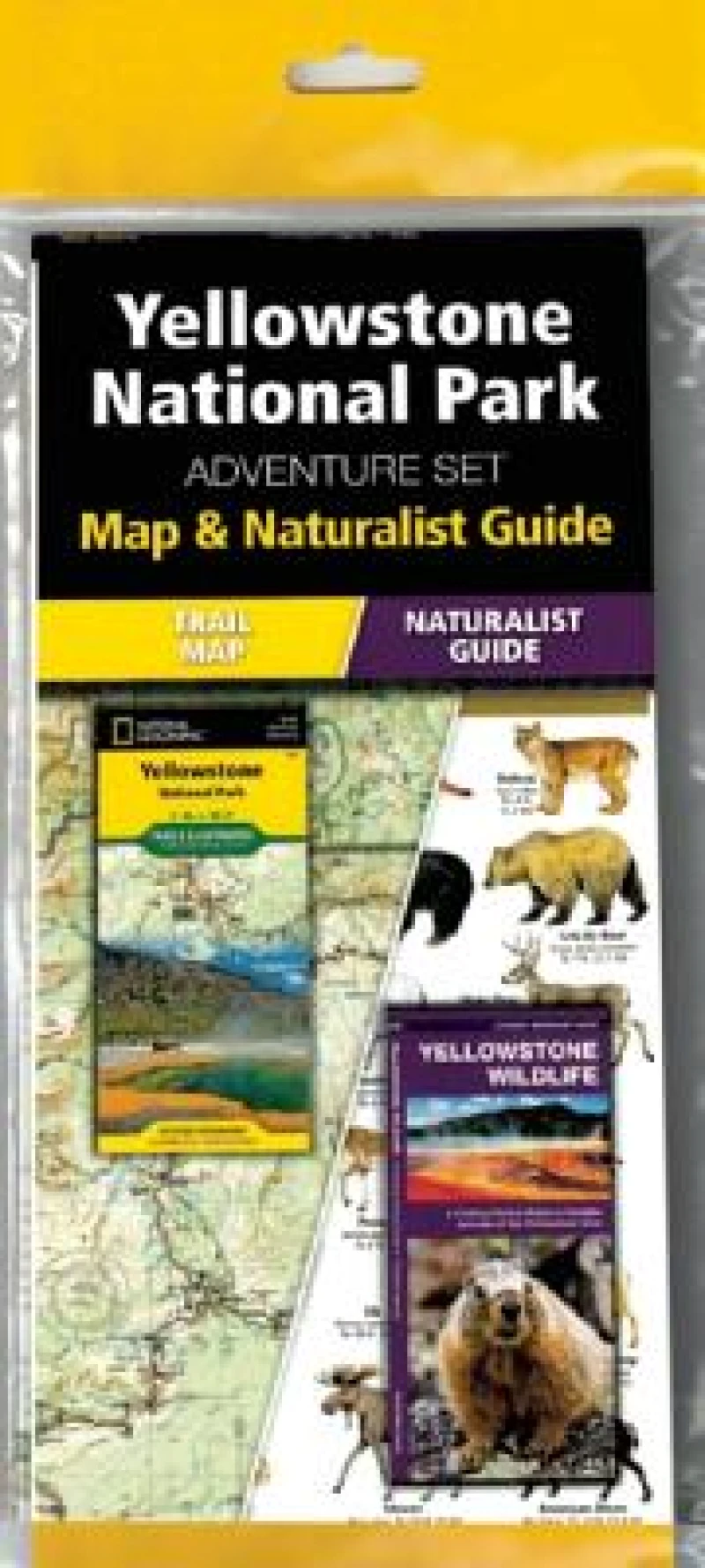 Yellowstone National Park Adventure Set