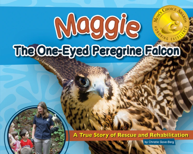 Maggie the One-Eyed Peregrine Falcon