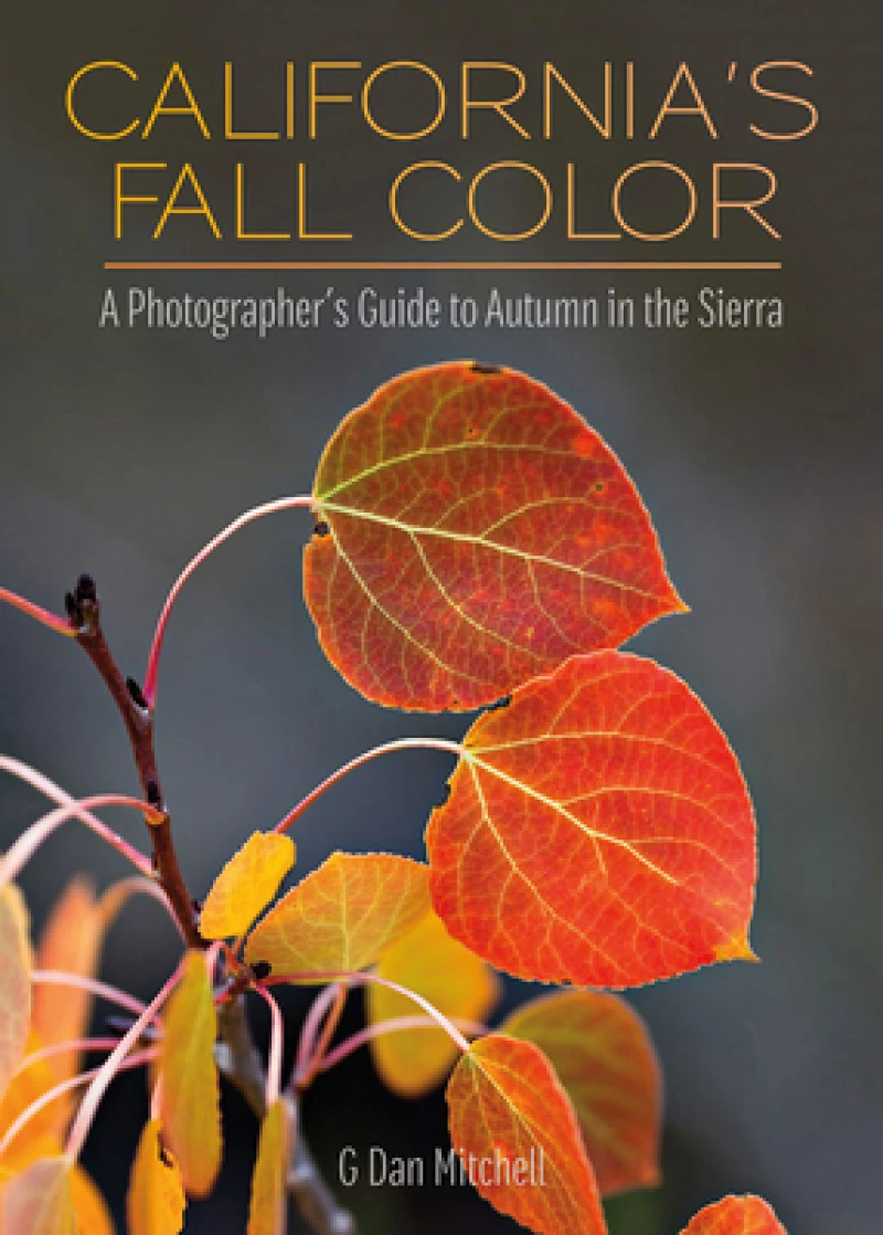 California's Fall Color