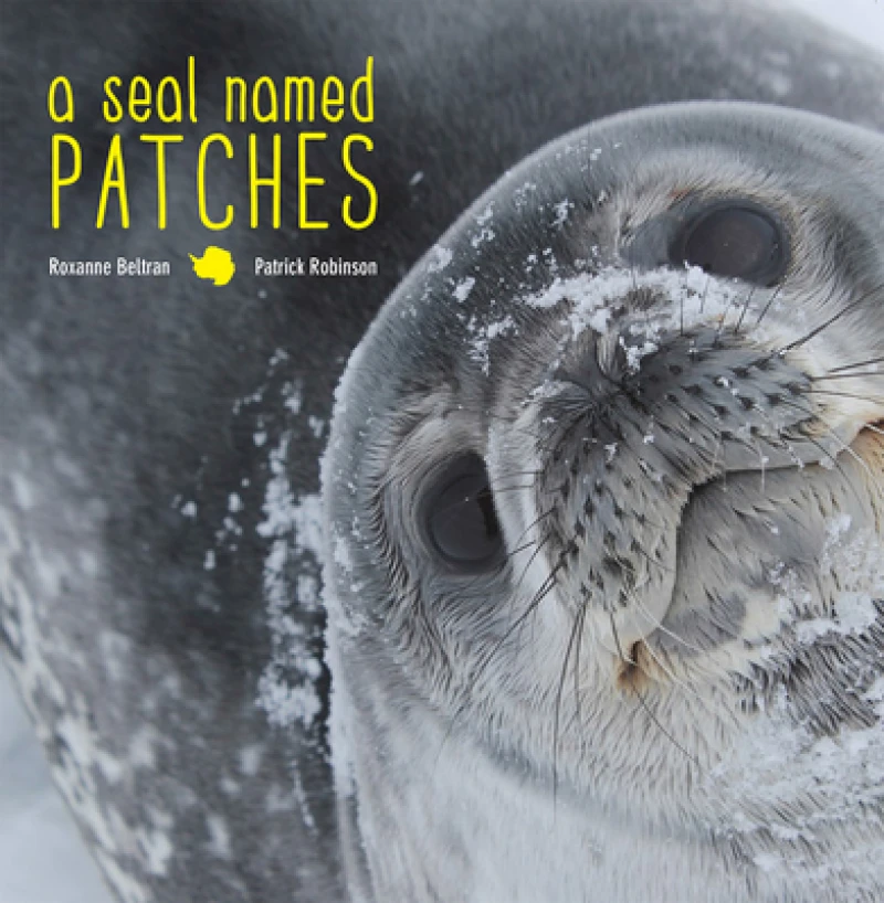 A Seal Named Patches
