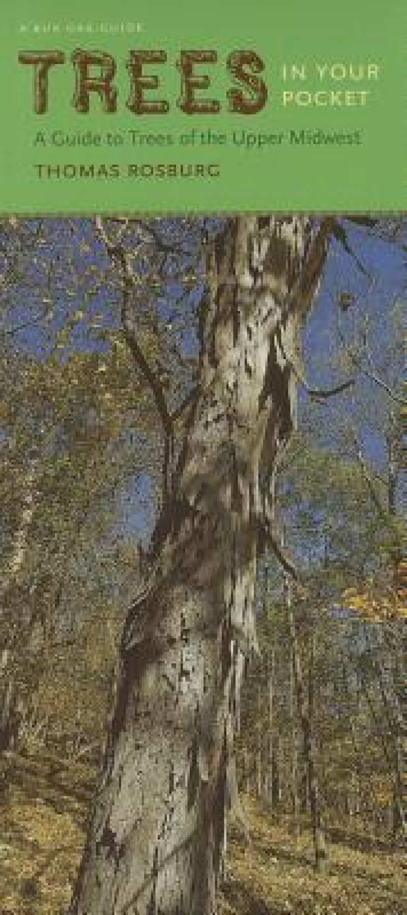 Trees in Your Pocket