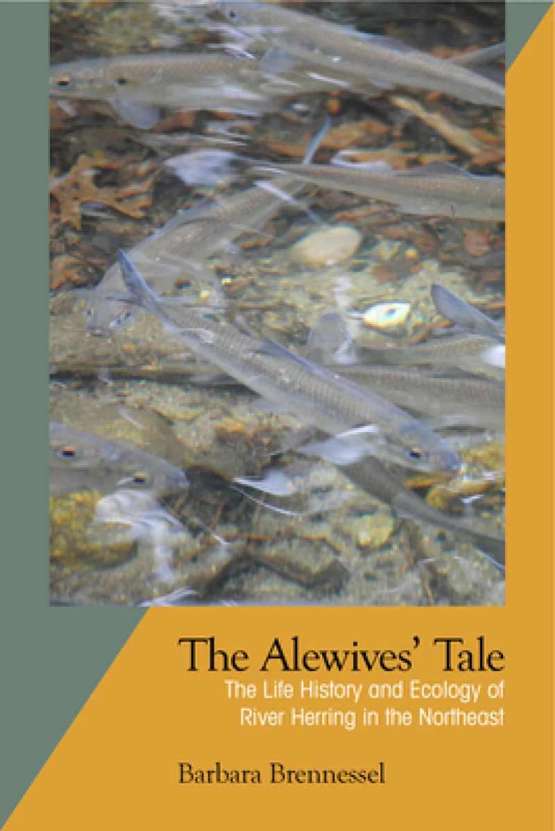 The Alewives Tale