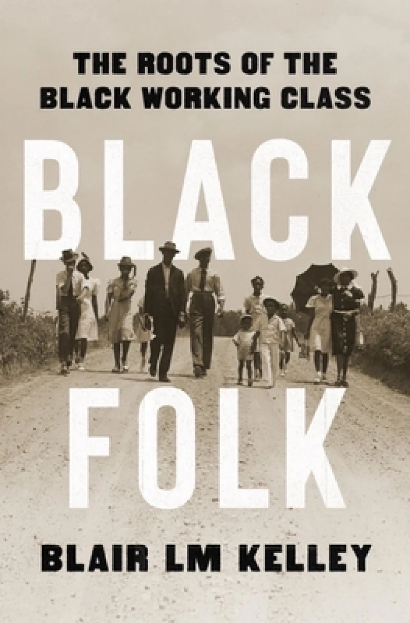 Black Folk - The Roots of the Black Working Class