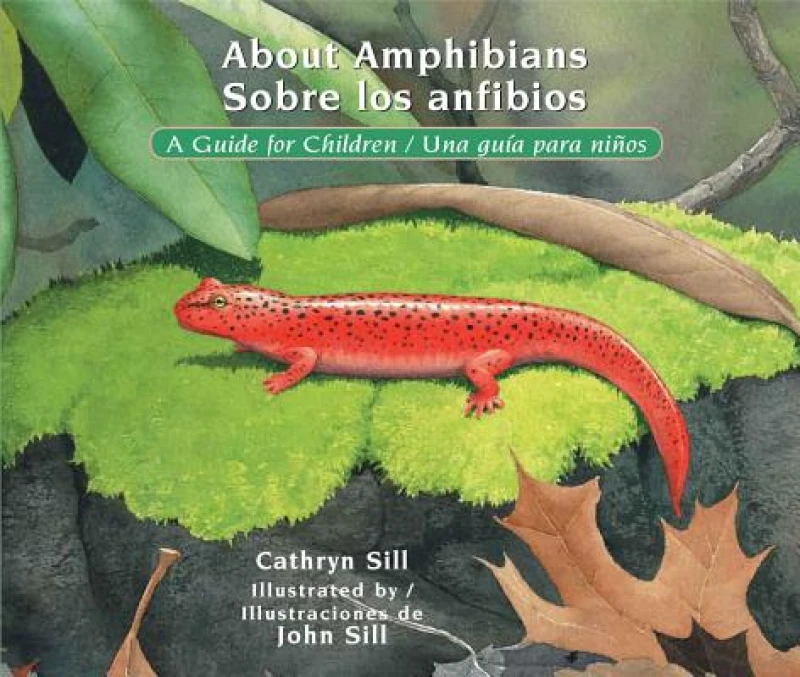 About Amphibians/ Sobre Los Anfibios
