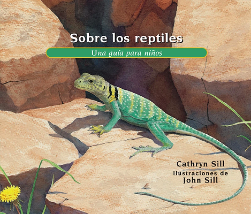 Sobre los reptiles/ About Reptiles