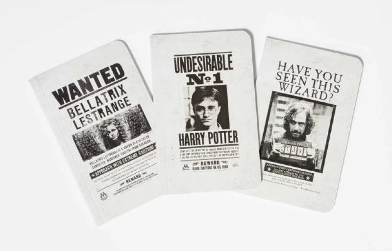 Harry Potter: Wanted Posters Pocket Journal Collection