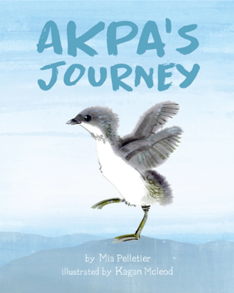 Akpa's Journey