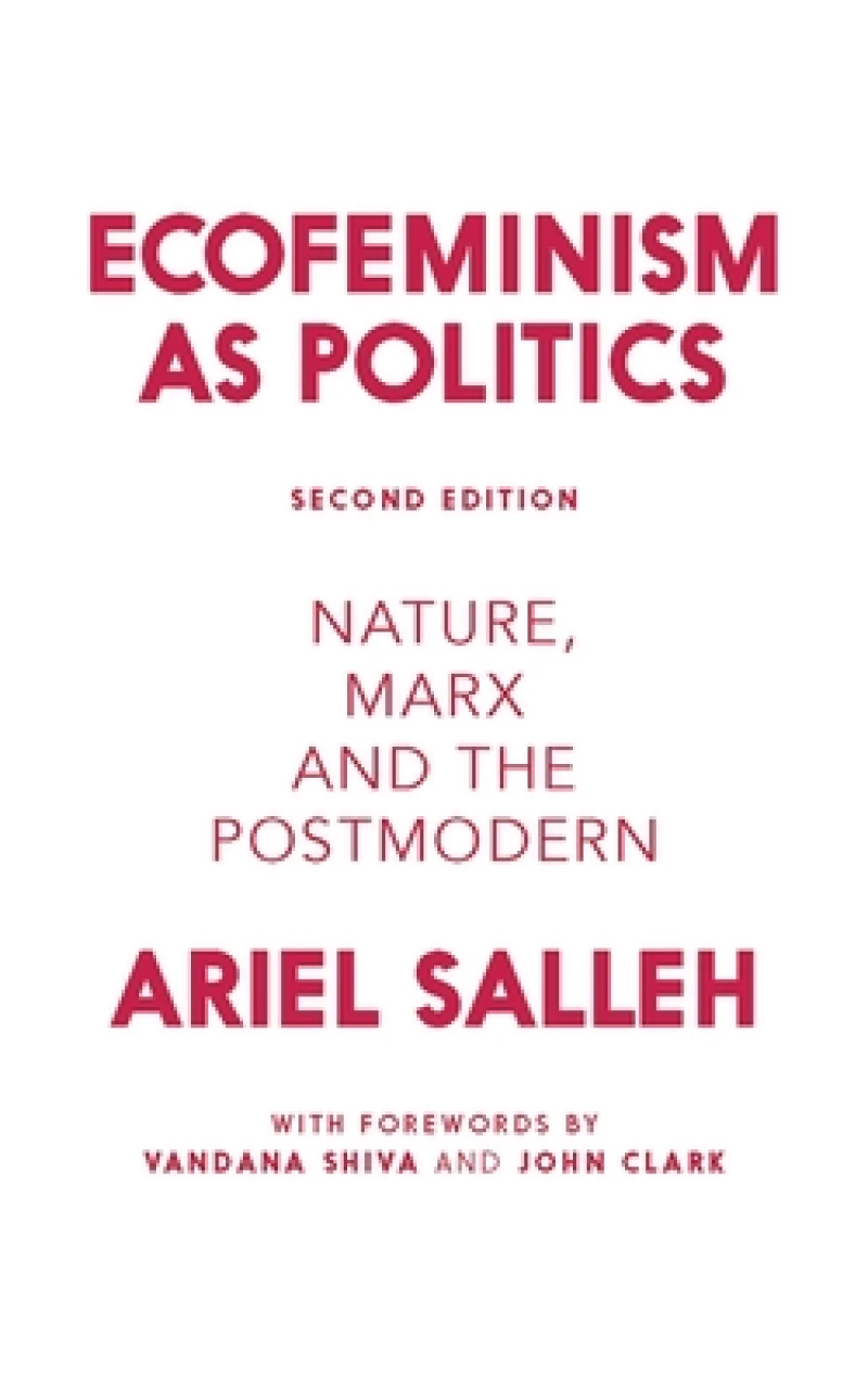 Ecofeminism as Politics