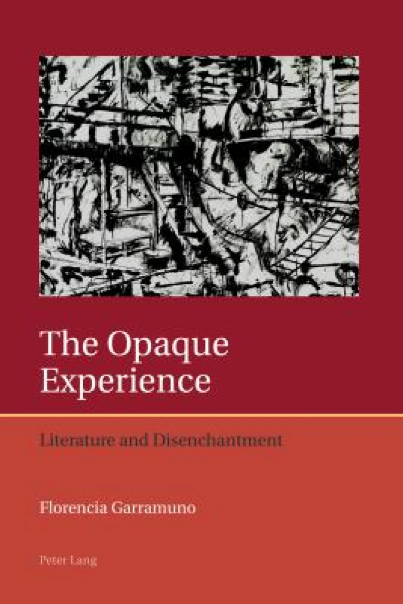 The Opaque Experience
