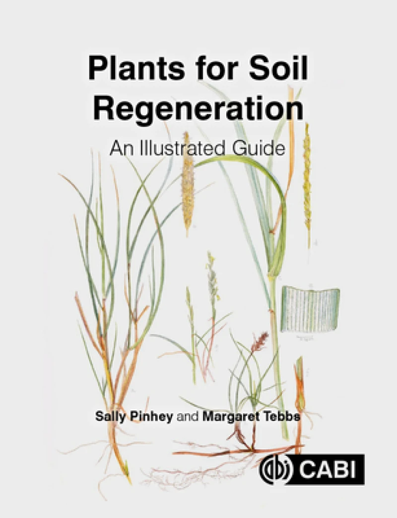 Plants for Soil Regeneration