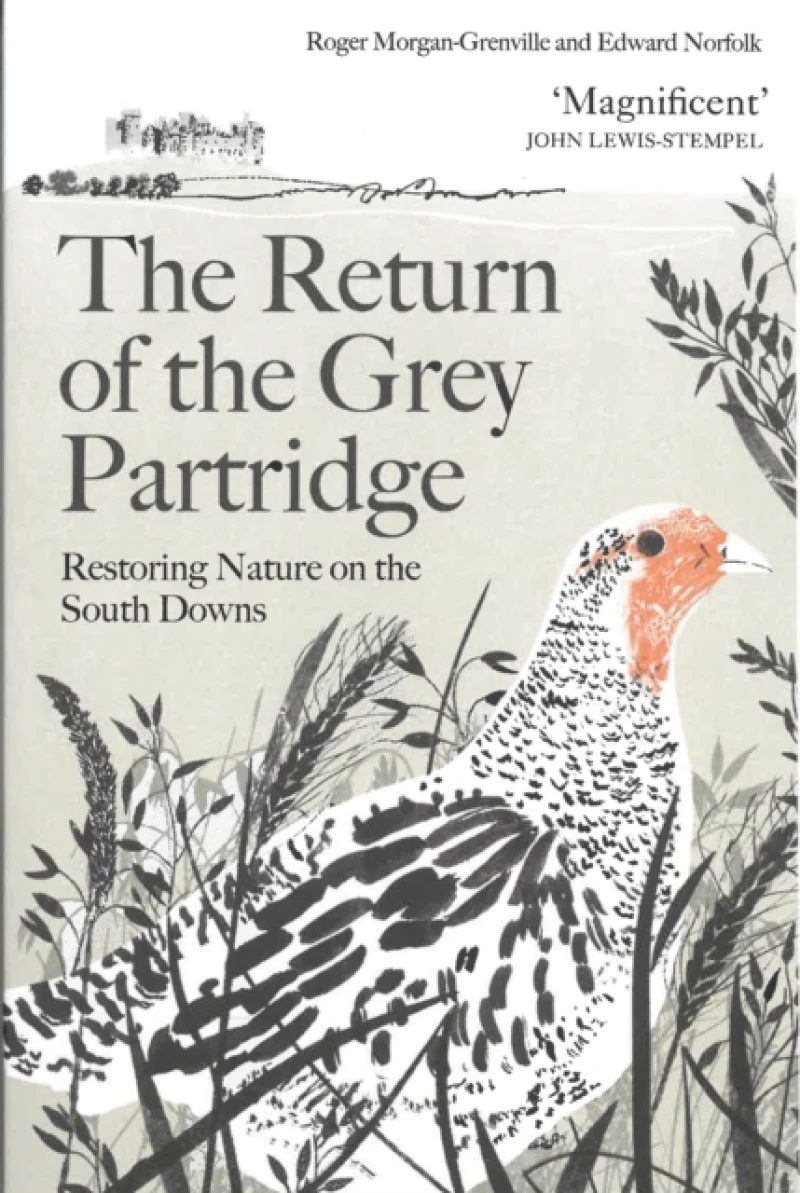 The Return of the Grey Partridge