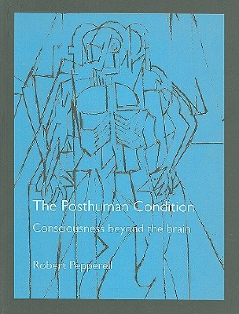 The Posthuman Condition