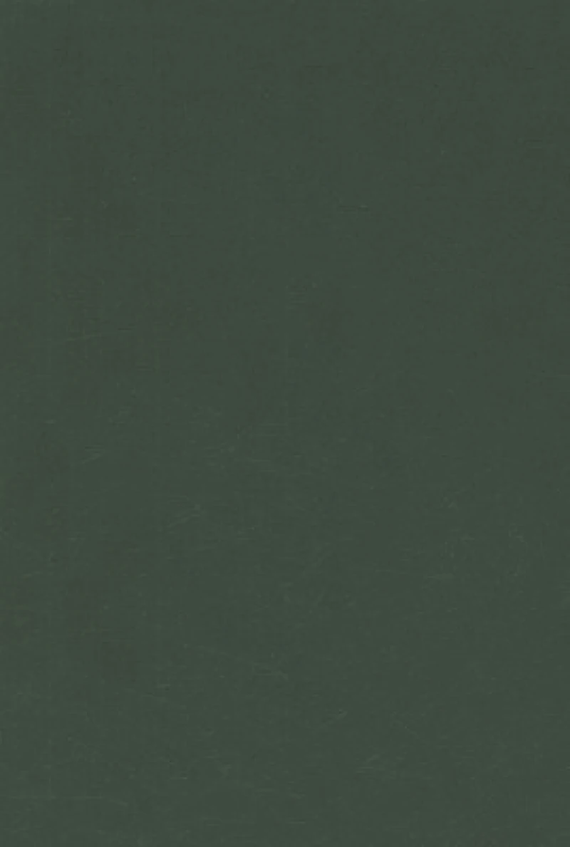 Desirable Literacies