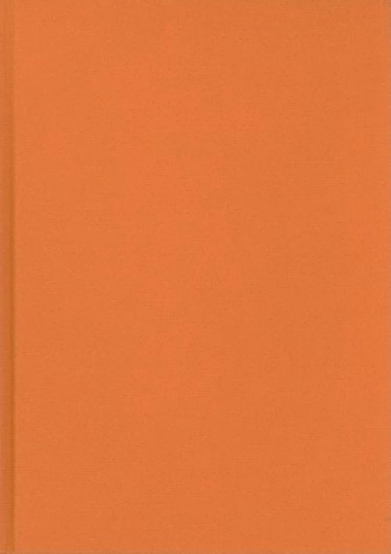 Achieving Positive Outcomes for Children in Care