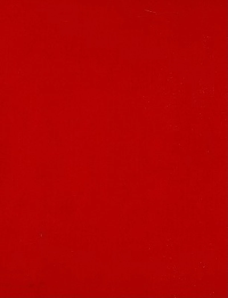 Understanding Primary Science