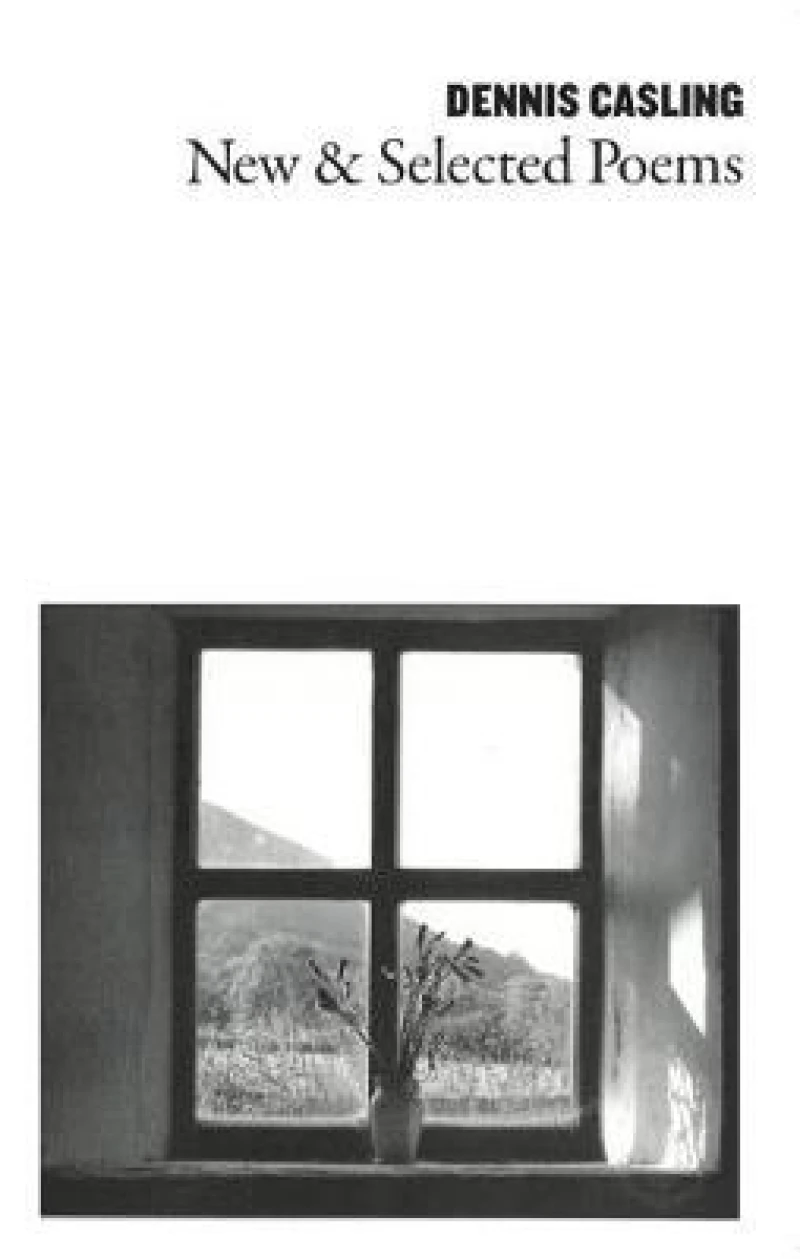 New and Selected Poems