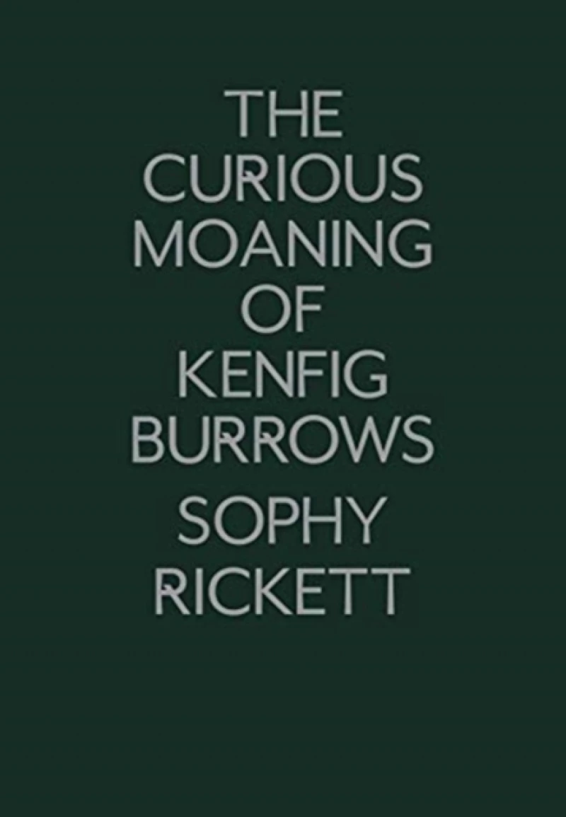 The Curious Moaning of Kenfig Burrows