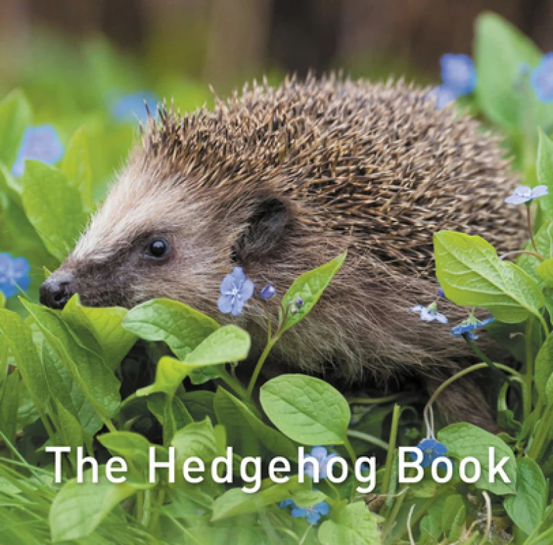 Nature Book Series: The Hedgehog Book