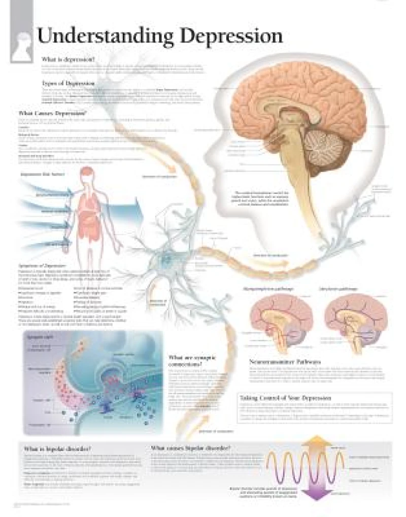 Understanding Depression Paper Poster