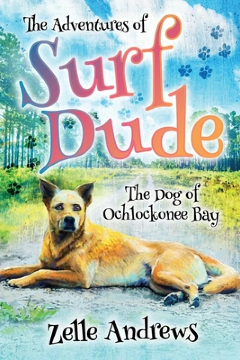The Adventures of Surf Dude