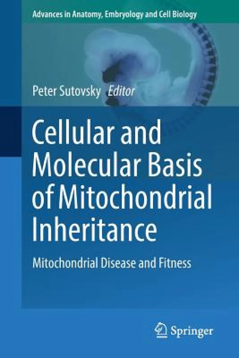 Cellular and Molecular Basis of Mitochondrial Inheritance