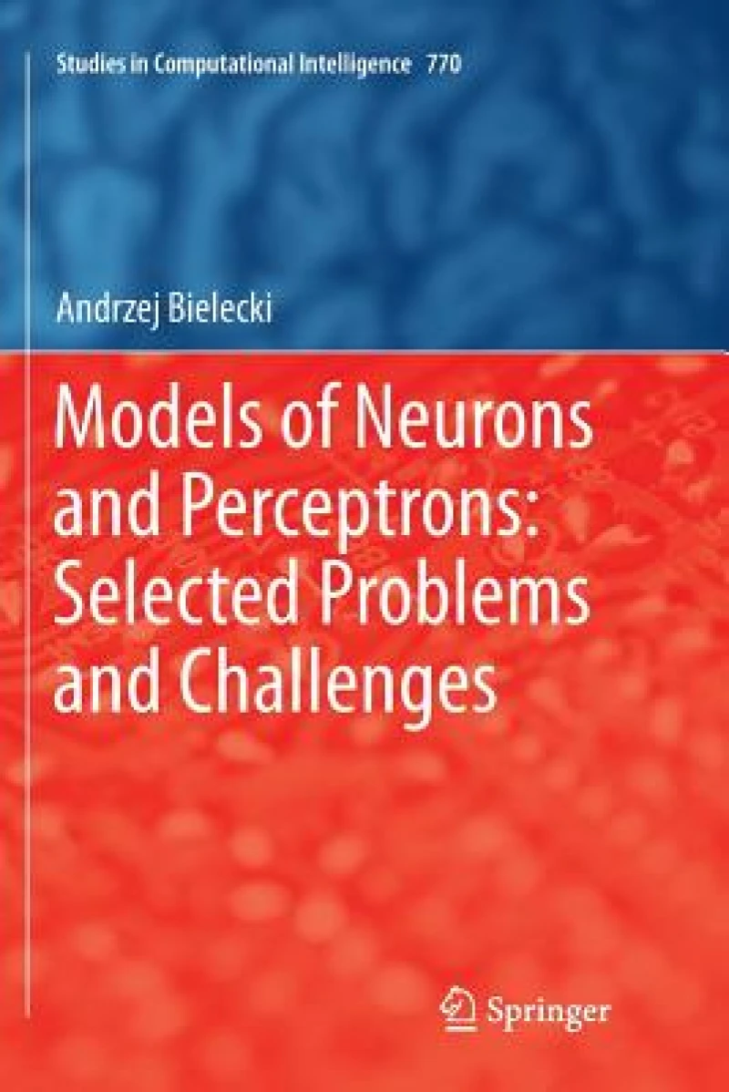 Models of Neurons and Perceptrons: Selected Problems and Challenges